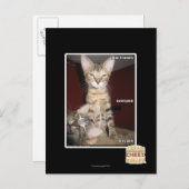 Idioot Vrienden Briefkaart (Voorkant / Achterkant)