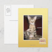 Idioot Vrienden Briefkaart (Voorkant / Achterkant)