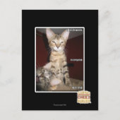 Idioot Vrienden Briefkaart (Voorkant)