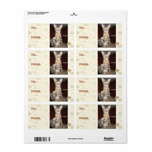 Idioot Vrienden Etiket (Full Sheet)