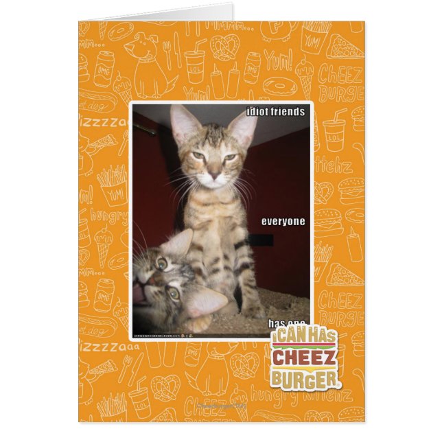 Idiot Friends (Voorkant)