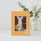 Idiot Friends Briefkaart (Staand voorkant)