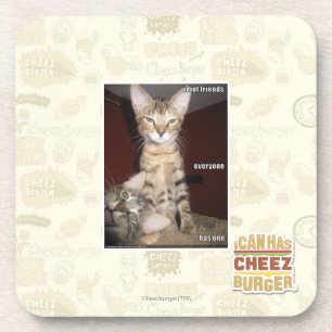 Idiot Friends Drankjes Onderzetter