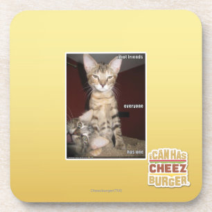 Idiot Friends Drankjes Onderzetter