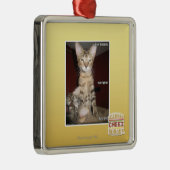 Idiot Friends Metalen Ornament (Rechts)