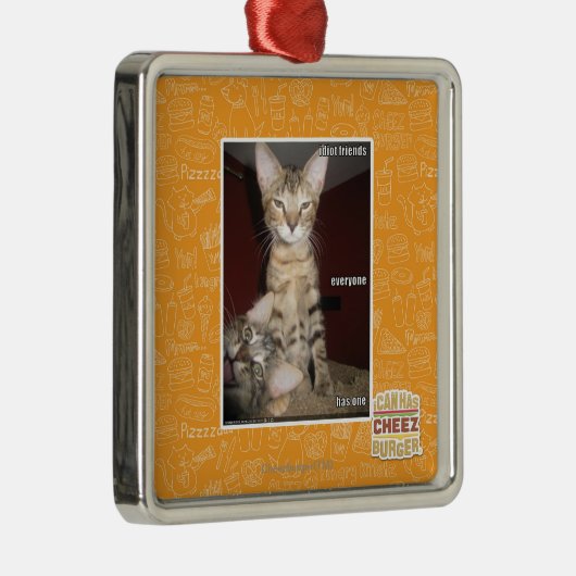 Idiot Friends Metalen Ornament (Rechts)