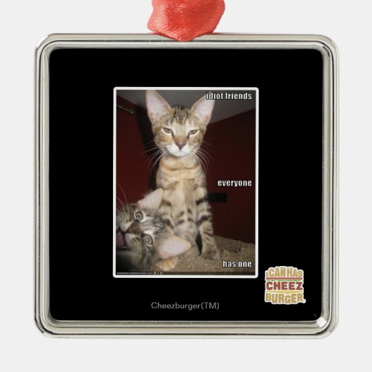 Idiot Friends Metalen Ornament (Voorkant)