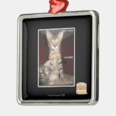 Idiot Friends Metalen Ornament (Links)