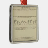 Idiots, Statistical US Lithograaf 1870 Metalen Ornament (Rechts)