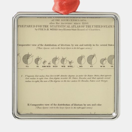Idiots, Statistical US Lithograaf 1870 Metalen Ornament (Voorkant)