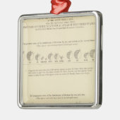 Idiots, Statistical US Lithograaf 1870 Metalen Ornament (Links)