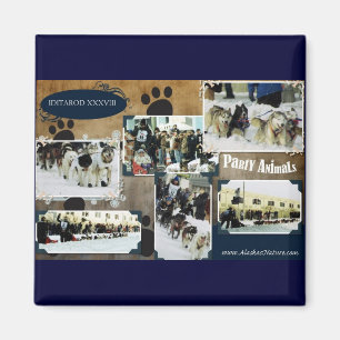 Iditarod 2010 magneet