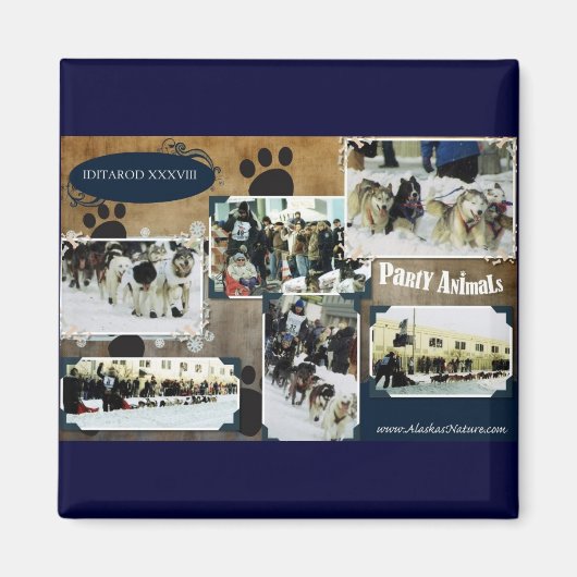 Iditarod 2010 magneet (Voorkant)