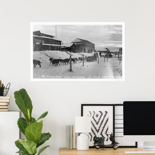 Iditarod Alaska Birdseye 1914 Poster (Thuiskantoor)