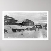 Iditarod Alaska Birdseye 1914 Poster (Voorkant)