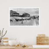 Iditarod Alaska Birdseye 1914 Poster (Keuken)