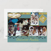 Iditarod Loyal Companions Briefkaart (Voorkant / Achterkant)