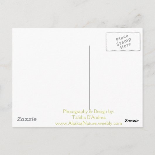 Iditarod Loyal Companions Briefkaart (Achterkant)