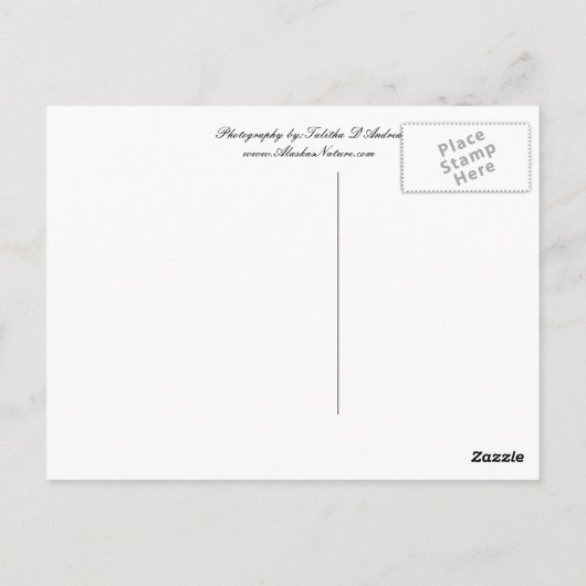 Iditarod Postcard Briefkaart (Achterkant)