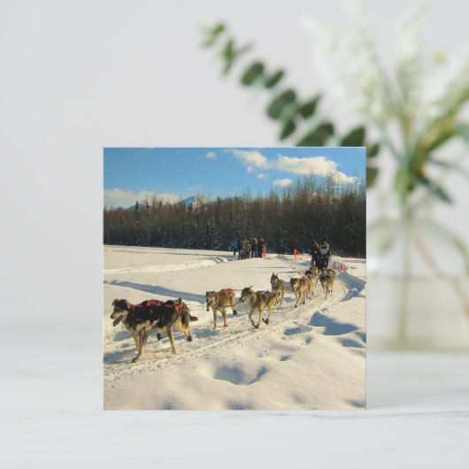 Iditarod Trail Sled Dog Race Kaart (Staand voorkant)