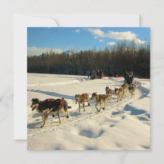Iditarod Trail Sled Dog Race Kaart (Voorkant)