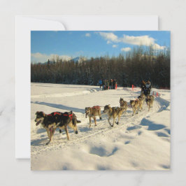 Iditarod Trail Sled Dog Race Kaart