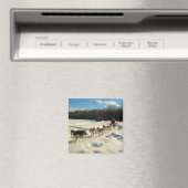 Iditarod Trail Sled Dog Race Magneet (Insitu (Vaatwasser))