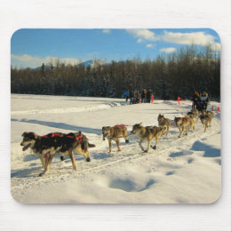 Iditarod Trail Sled Dog Race Muismat
