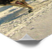 Iditarod Trail Sled Dog Race Poster (Hoek)