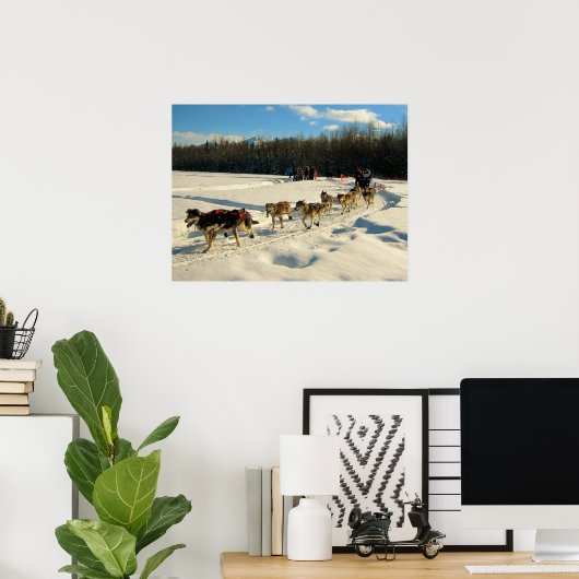 Iditarod Trail Sled Dog Race Poster (Thuiskantoor)