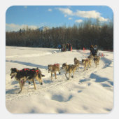Iditarod Trail Sled Dog Race Vierkante Sticker (Voorkant)