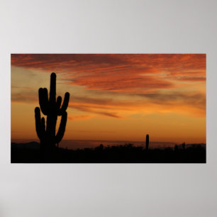 IDKP Arizona cactus in de zonsondergang Poster