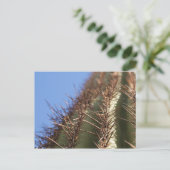 IDKP Thorny cactus-postkaart Briefkaart (Staand voorkant)