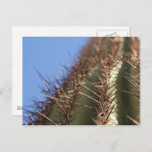 IDKP Thorny cactus-postkaart Briefkaart (Voorkant / Achterkant)