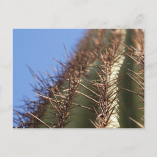 IDKP Thorny cactus-postkaart Briefkaart