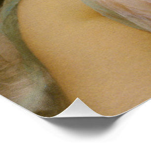 Idle Moments door John William Godward Perfect Poster