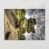 Idol Rock in Brimham Rocks Briefkaart (Voorkant)