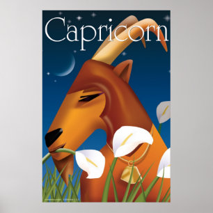 Idolz Capricorn Poster