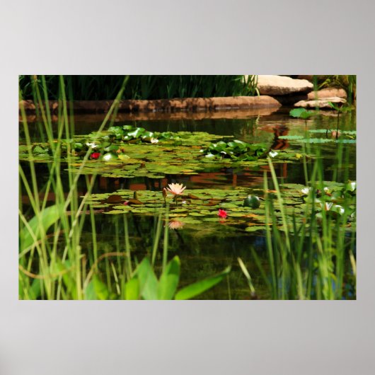 Idyllic middag poster (Voorkant)