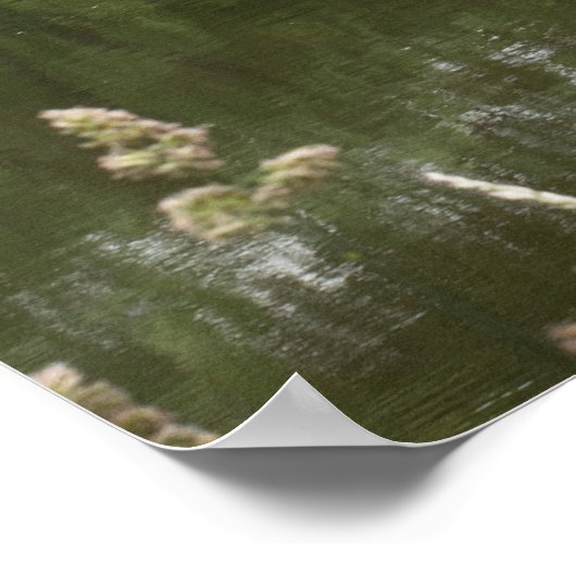 Idyllique Mayenne Poster (Hoek)