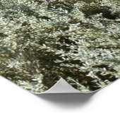 Idyllische dag in Canberra Poster (Hoek)