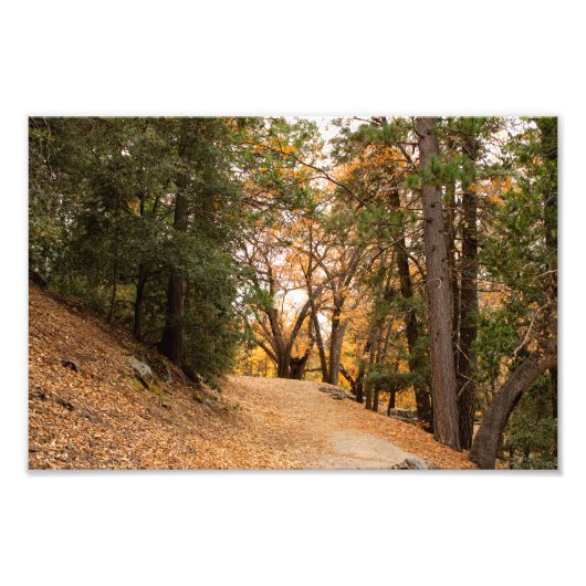 Idyllwild - Pine Cove Foto Afdruk (Voorkant)