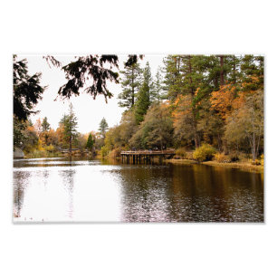 Idyllwild Pine - Cove Foto Afdruk