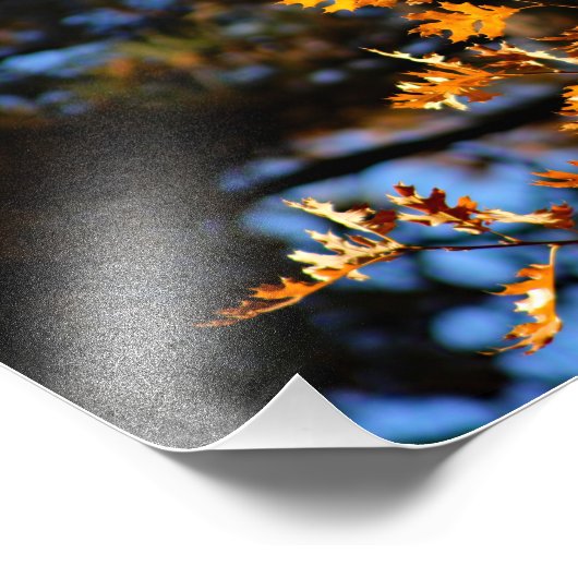 Idyllwild - Pine Cove Foto Afdruk (Hoek)