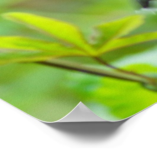 Ieder goed en perfect cadeau.. poster (Hoek)