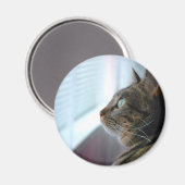Ieder Kat overweegt buiten Magneet (Voorkant / Achterkant)