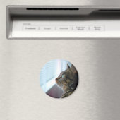 Ieder Kat overweegt buiten Magneet (Insitu (Vaatwasser))