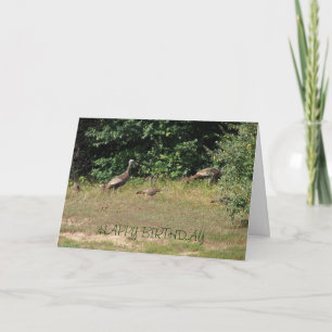 Ieder van ons kalkoenen, geboortedag kaart