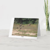 Ieder van ons kalkoenen, verjaardag kaart (Achterkant)