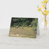 Ieder van ons kalkoenen, verjaardag kaart (Gele Bloem)